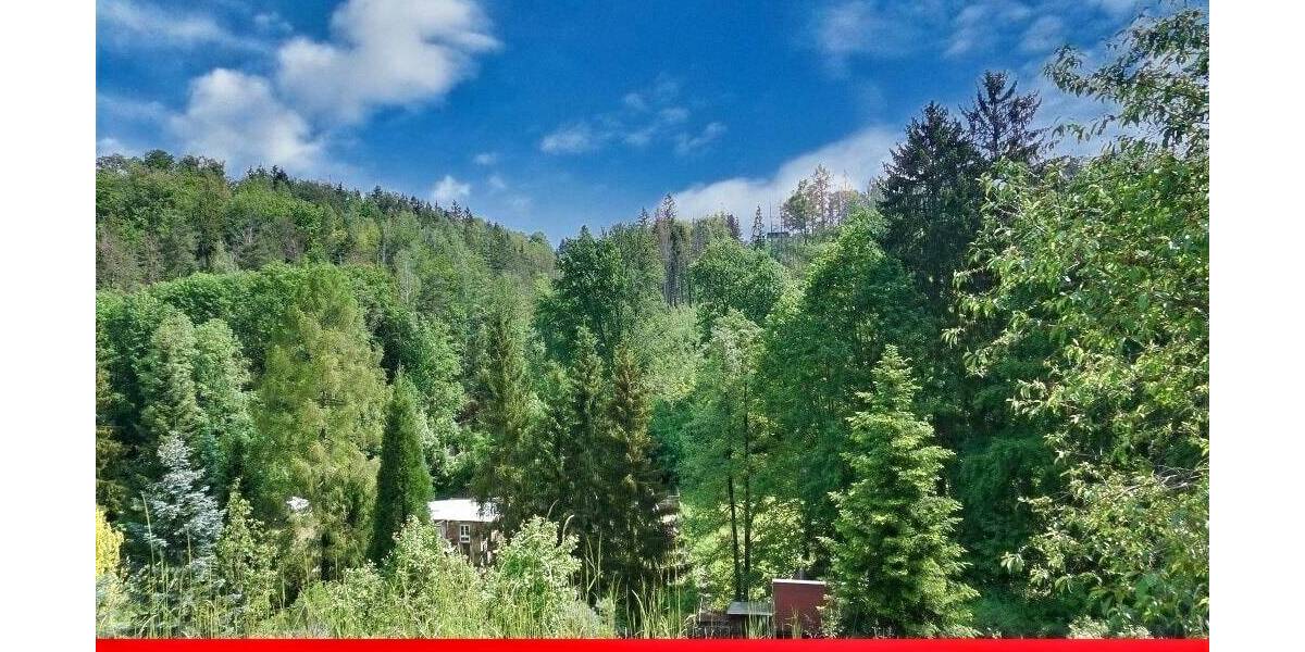 Mehrfamilienhaus, Wohnhaus Auerbach Sorga - 7 Zimmer, 160 m&sup2;, 65.000&euro; | Angebot:25799449