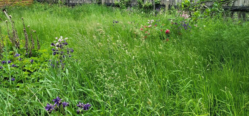 Einfamilienhaus Auma-Weidatal Weidatal - 9 Zimmer, 160 m&sup2;, 20.000&euro; | Angebot:25707834