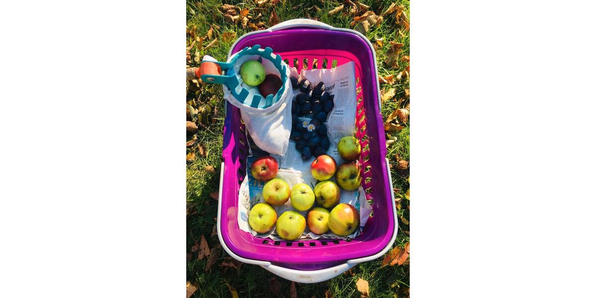 Bauernhaus, Landhaus Gefell - 12 Zimmer, 300 m&sup2;, 380.000&euro; | Angebot:25803486