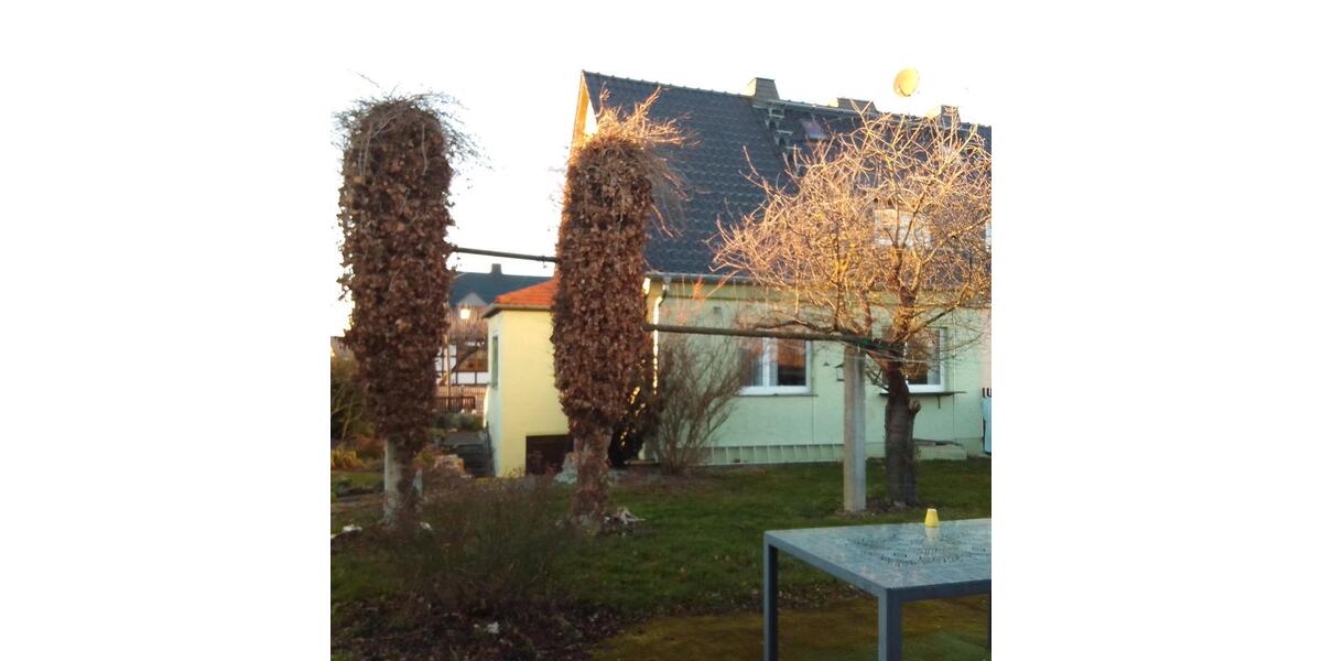 Einfamilienhaus Langenwetzendorf - 5 Zimmer, 87 m&sup2;, 170.000&euro; | Angebot:26983633