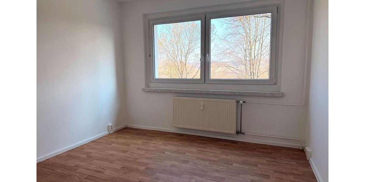 Etagenwohnung Plauen Alt Chrieschwitz - 2 Zimmer, 41 m&sup2;, 228&euro; | Angebot:25753376