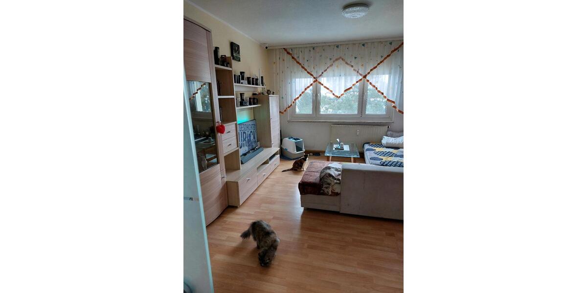 Etagenwohnung Falkenstein/Vogtland Vogtland - 2 Zimmer, 47 m&sup2;, 39.700&euro; | Angebot:24484454