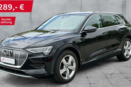 Audi e-tron 53.437 km 29.930 &euro; Hof 95030