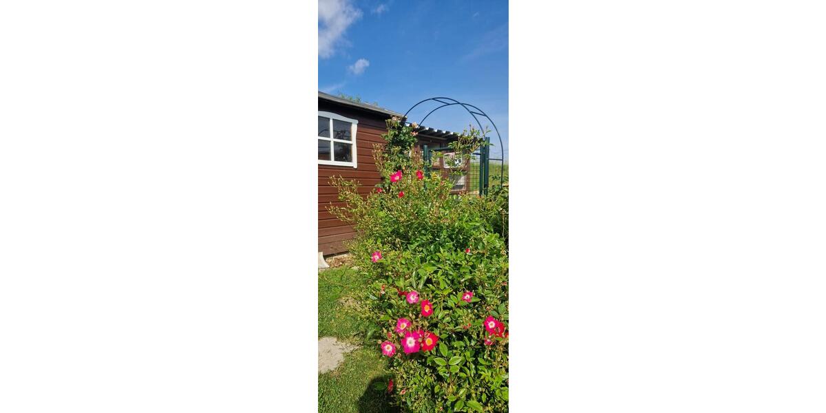 Etagenwohnung Gefell - 6 Zimmer, 180 m&sup2;, 320&euro; | Angebot:26020431