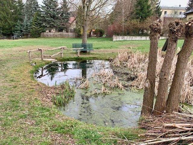 Einfamilienhaus Neumark - 6 Zimmer, 134 m&sup2;, 245.000&euro; | Angebot:25741471