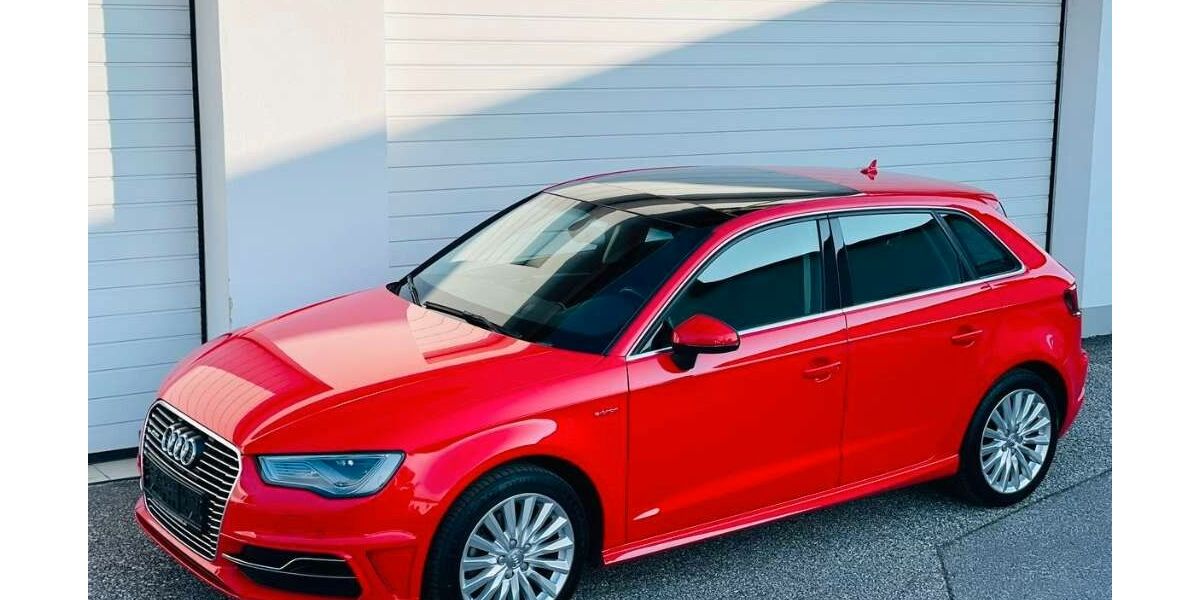 Audi A3 62.000 km 12.299 &euro; Reusa 08529