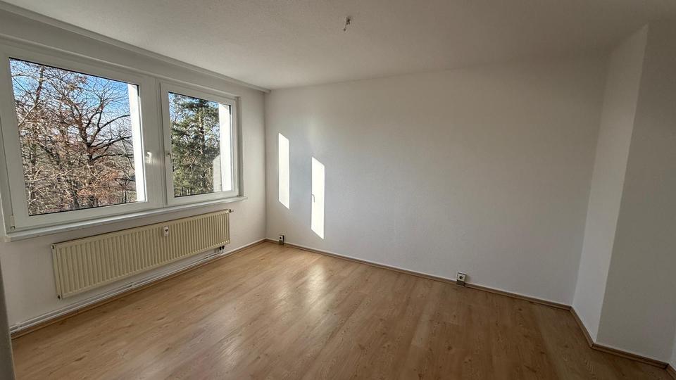 Etagenwohnung Netzschkau - 2 Zimmer, 46 m&sup2;, 300&euro; | Angebot:26040349