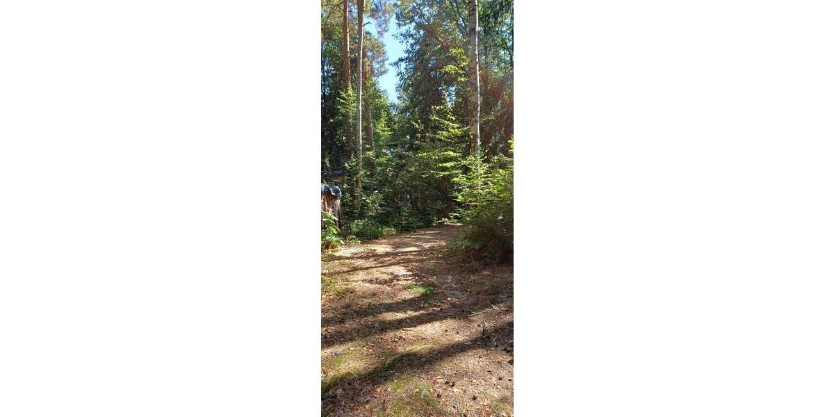 Grundstück Zeulenroda-Triebes Triebes - 39.500&euro; | Angebot:25688109