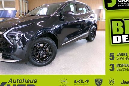 Kia Sportage 39.738 km 24.490 &euro; Hof 95032