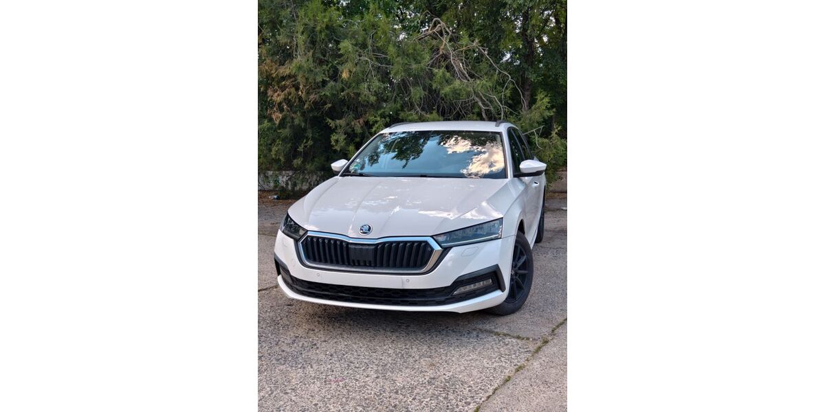 Skoda Octavia 188.000 km 13.420 &euro; Hof 95032