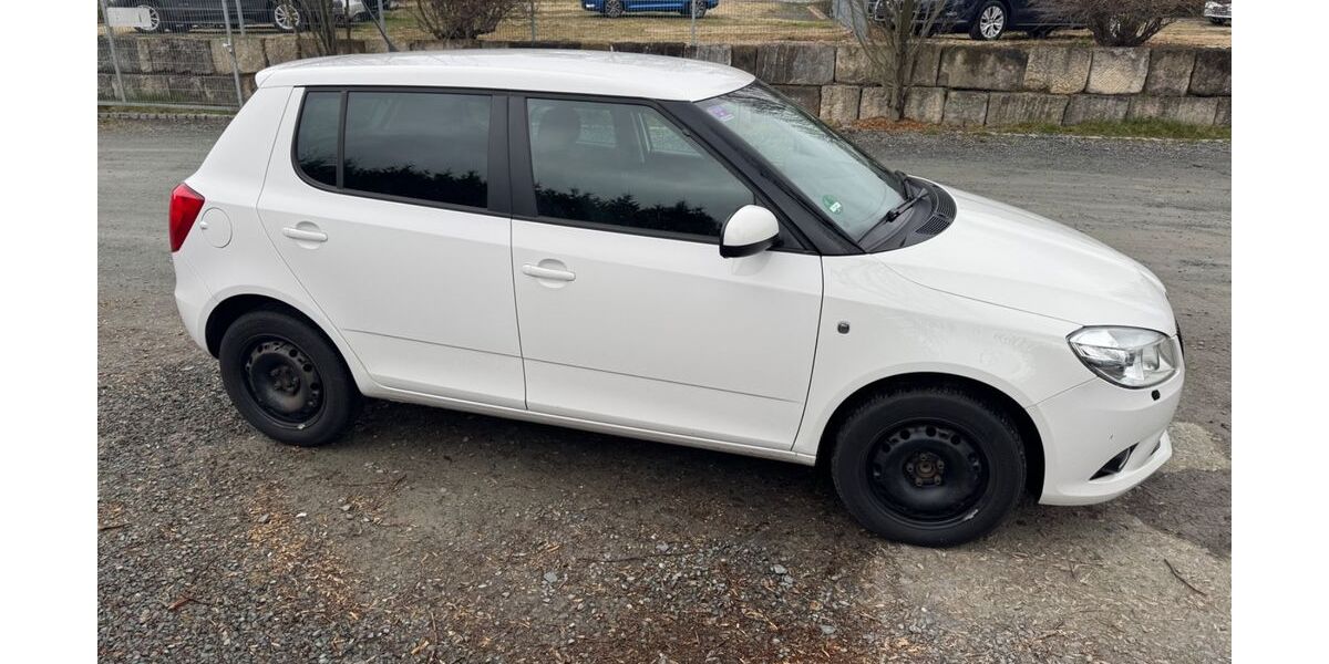 Skoda Fabia 170.000 km 5.300 &euro; Posseck 08606