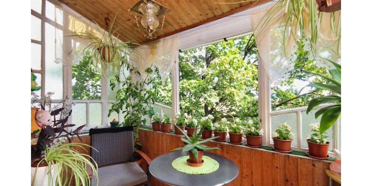 Mehrfamilienhaus, Wohnhaus Treuen - 1 Zimmer, 281 m&sup2;, 149.500&euro; | Angebot:25685574