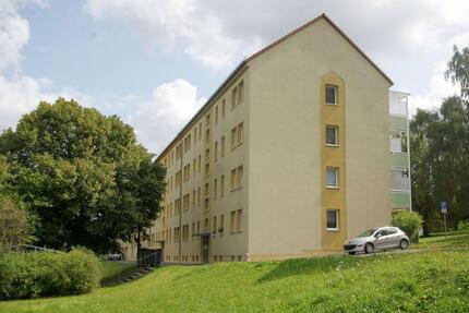 Wohnung Plauen Alt Chrieschwitz - 2 Zimmer, 42 m&sup2;, 231&euro; | Angebot:26631584