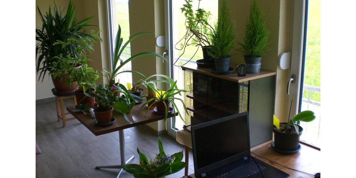 Einfamilienhaus Elsterberg - 11 Zimmer, 152 m&sup2;, 499.000&euro; | Angebot:22745684