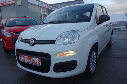 Fiat Panda 65.000 km 7.890 &euro; Hof 95030