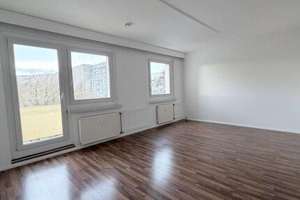 Wohnung Plauen Alt Chrieschwitz - 2 Zimmer, 51 m&sup2;, 260&euro; | Angebot:24813963