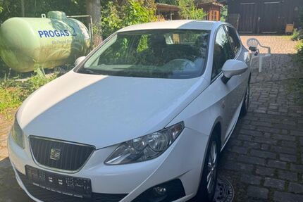 Seat Ibiza 121.000 km 3.850 &euro; Hof 95030