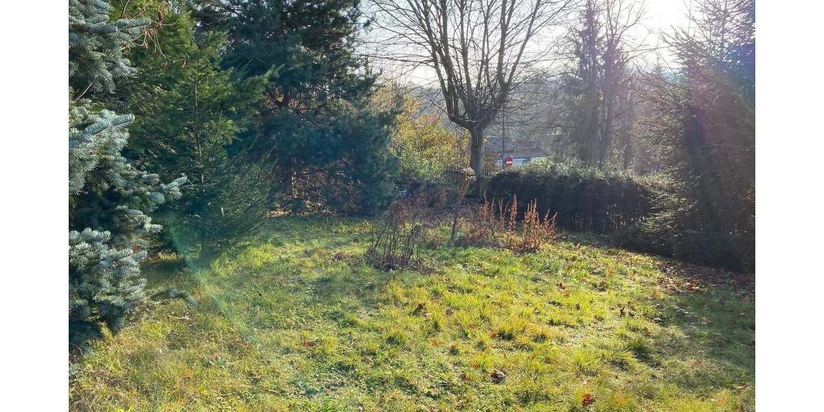 Grundstück Mechelgrün Mechelgrün - 49.990&euro; | Angebot:25661995