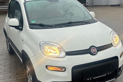 Fiat Panda 100.000 km 6.699 &euro; Auerbach 08209