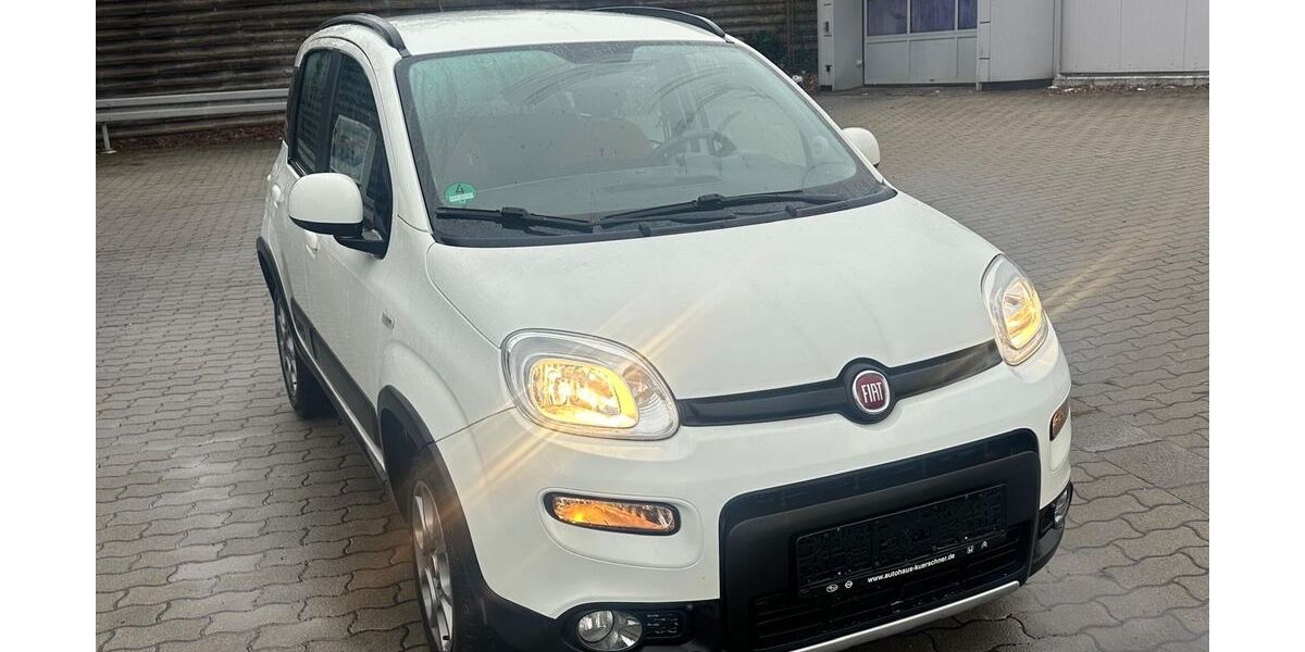 Fiat Panda 100.000 km 6.699 &euro; Auerbach 08209