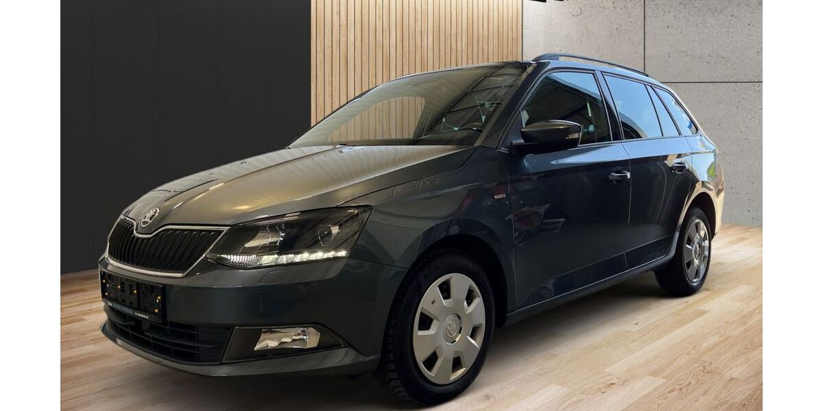 Skoda Fabia 118.750 km 9.990 &euro; Trieb 08239