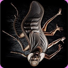 Metamorphose 04.07.2026 Theater Hof - Studio