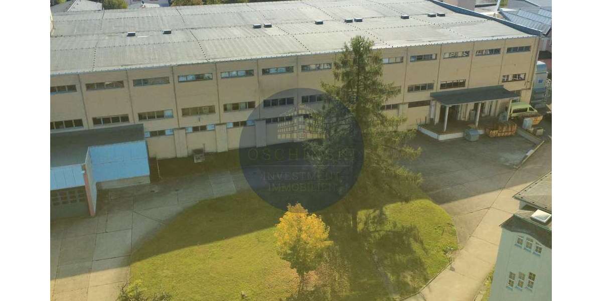 Gewerbeobjekt Zeulenroda-Triebes Triebes - 1.350.000&euro; | Angebot:26090338