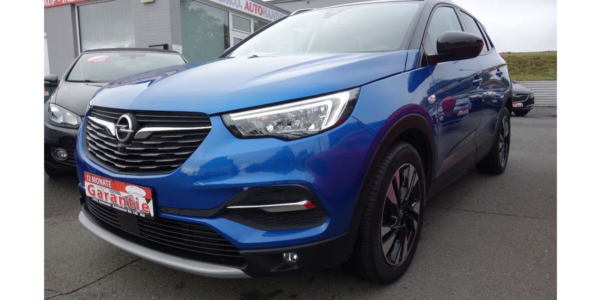 Opel Grandland (X) 23.800 km 15.990 &euro; Hof 95030