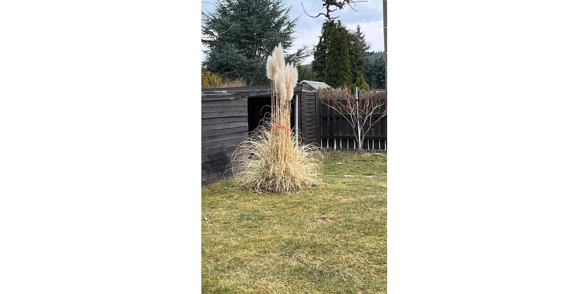 Grundstück Plauen Alt Chrieschwitz - 5.300&euro; | Angebot:25756155