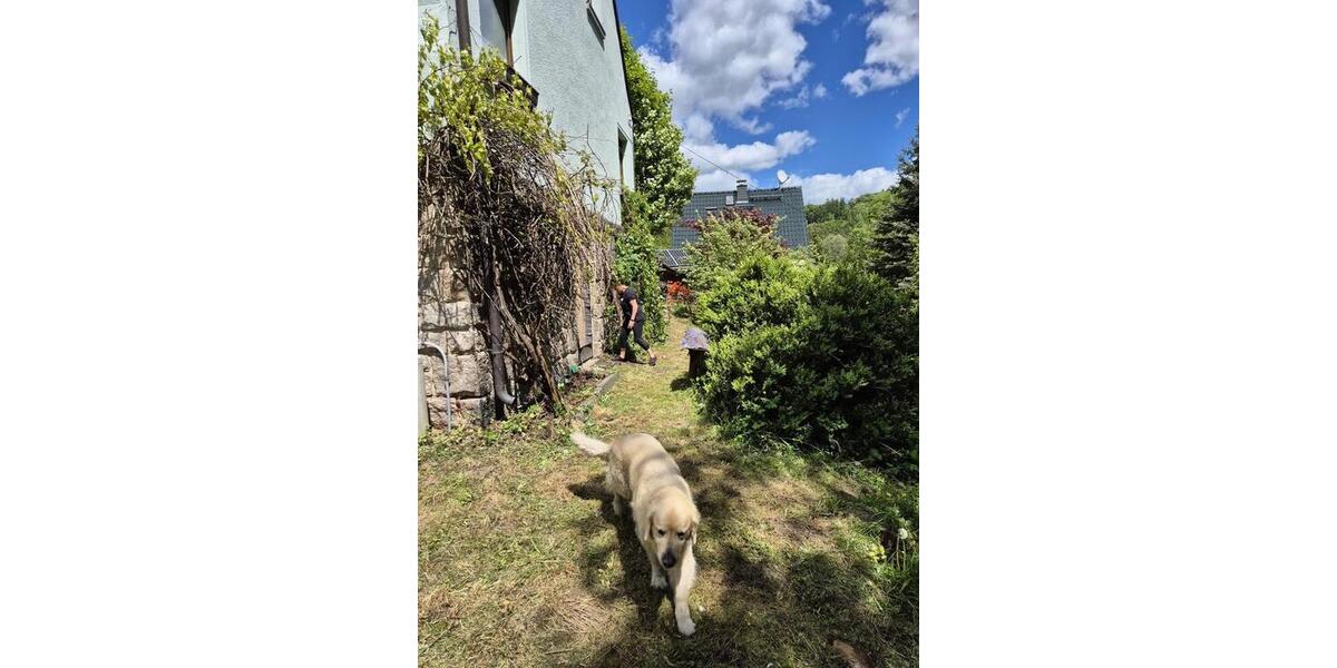 Einfamilienhaus Netzschkau - 4 Zimmer, 120 m&sup2;, 70.000&euro; | Angebot:26786733