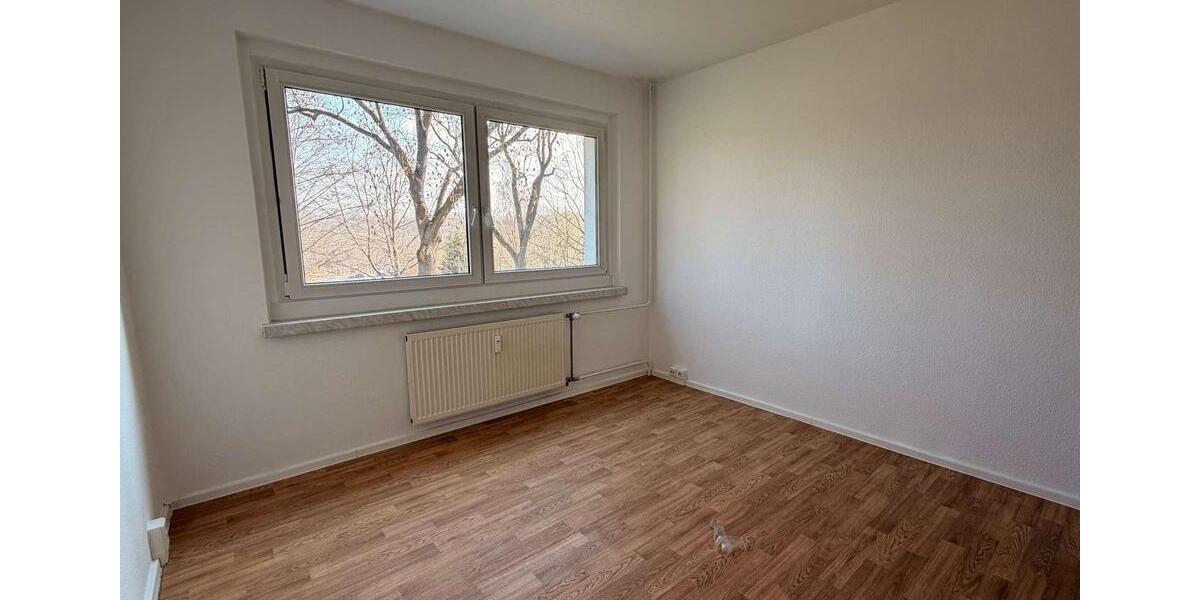 Etagenwohnung Plauen Alt Chrieschwitz - 2 Zimmer, 41 m&sup2;, 228&euro; | Angebot:25753376