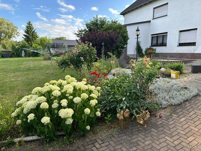 Einfamilienhaus Zeulenroda-Triebes Triebes - 8 Zimmer, 285 m&sup2;, 277.000&euro; | Angebot:26818212