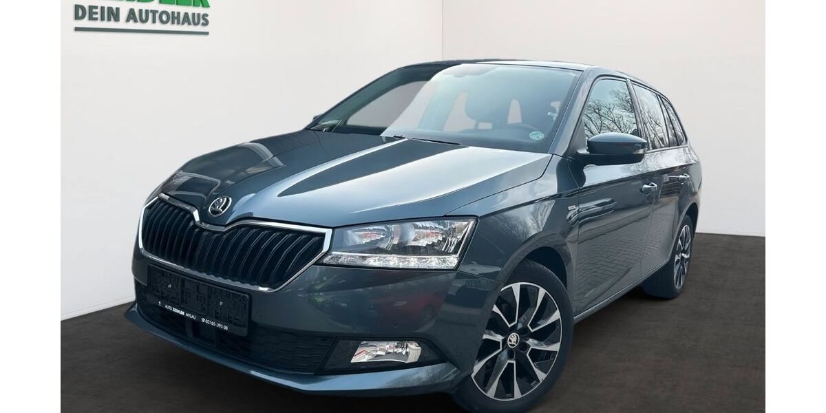 Skoda Fabia 26.590 km 14.850 &euro; Mylau 08499