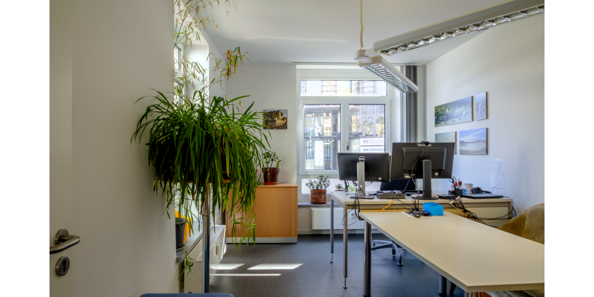 Etagenwohnung Hof Altstadt - 4 Zimmer, 119 m&sup2;, 270.000&euro; | Angebot:26008403