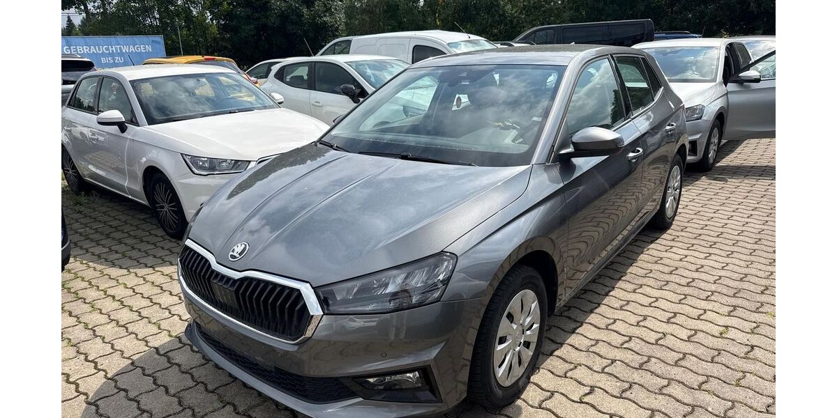 Skoda Fabia 36.955 km 15.997 &euro; Neustadt 08223