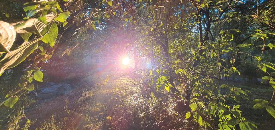 Mehrfamilienhaus, Wohnhaus Plauen - 9 Zimmer, 300 m&sup2;, 675.000&euro; | Angebot:26169132