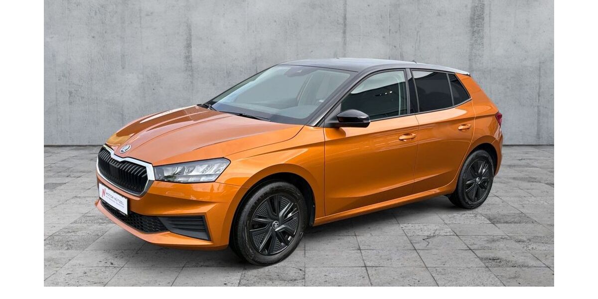 Skoda Fabia 69.750 km 13.730 &euro; Hof 95030