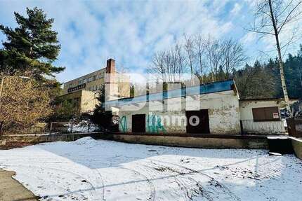 Grundstück Hohenleuben - 99.000&euro; | Angebot:19509454