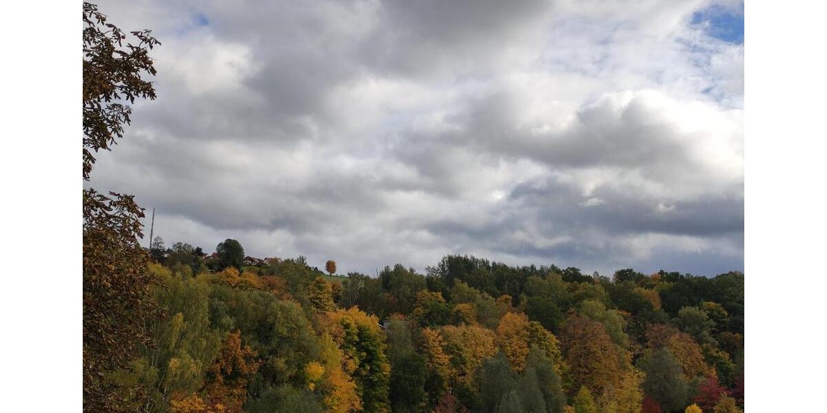 Etagenwohnung Auerbach/Vogtland Vogtland - 4 Zimmer, 100 m&sup2;, 630&euro; | Angebot:26049365