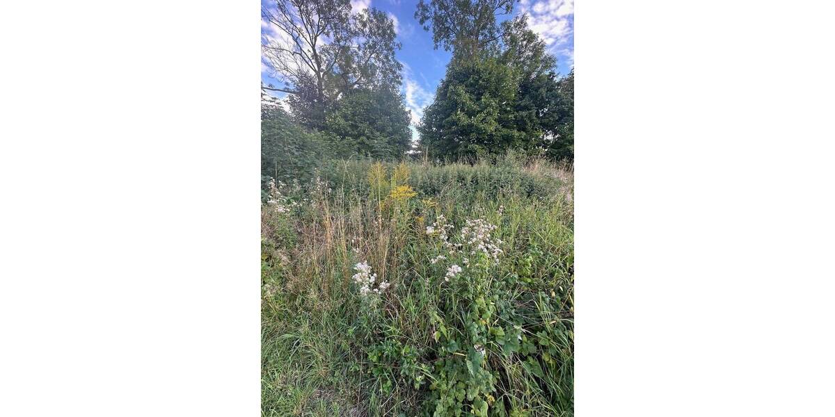 Grundstück Schloditz Droßdorf - 29.000&euro; | Angebot:25688638