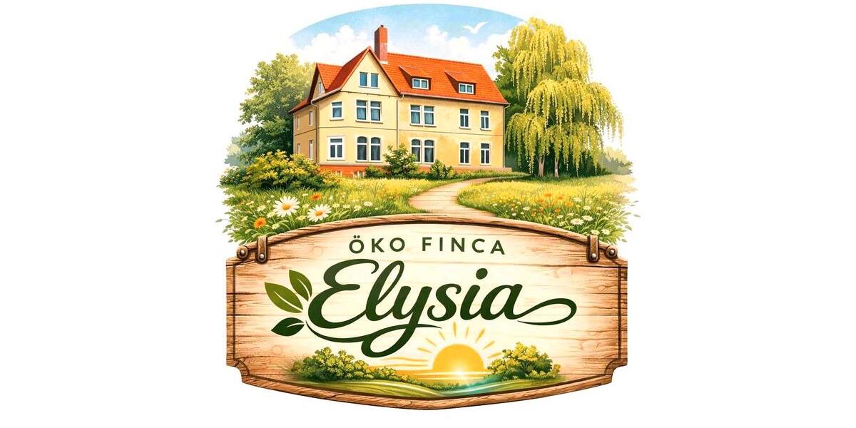 Mehrfamilienhaus, Wohnhaus Plauen - 9 Zimmer, 300 m&sup2;, 675.000&euro; | Angebot:26169132