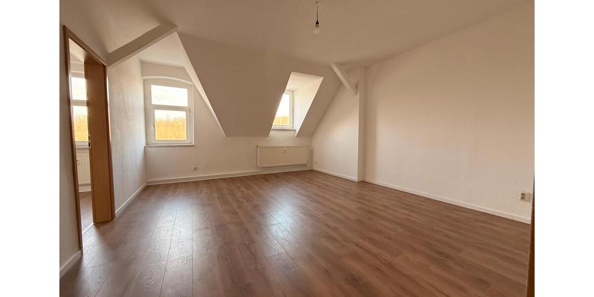 Etagenwohnung Plauen Bahnhofsvorstadt - 2 Zimmer, 55 m&sup2;, 300&euro; | Angebot:25538961