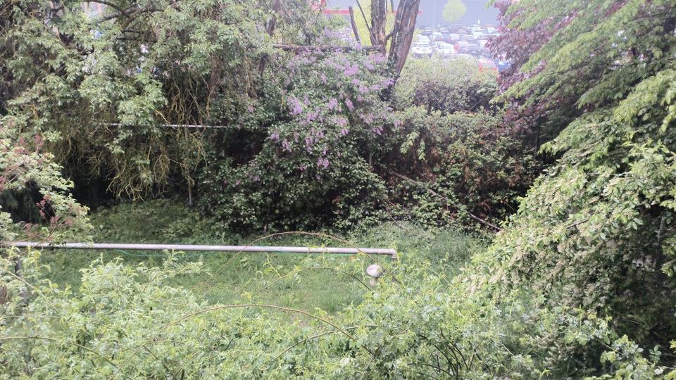 Erdgeschoßwohnung Oberkotzau - 2 Zimmer, 69 m&sup2;, 620&euro; | Angebot:26481209