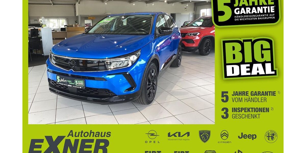 Opel Grandland (X) 22.389 km 18.250 &euro; Hof 95032