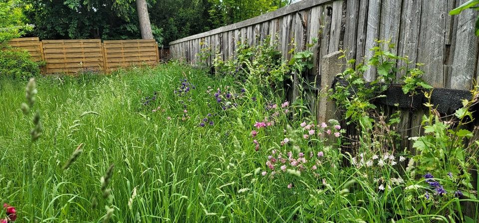 Einfamilienhaus Auma-Weidatal Weidatal - 9 Zimmer, 160 m&sup2;, 20.000&euro; | Angebot:25707834