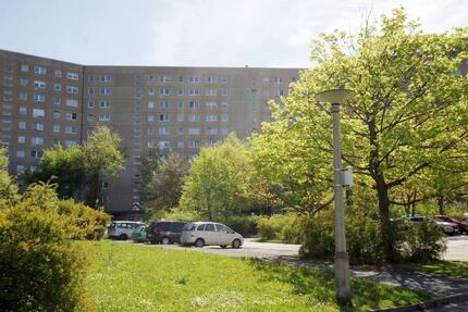 Wohnung Plauen Alt Chrieschwitz - 4 Zimmer, 90 m&sup2;, 451&euro; | Angebot:26365862