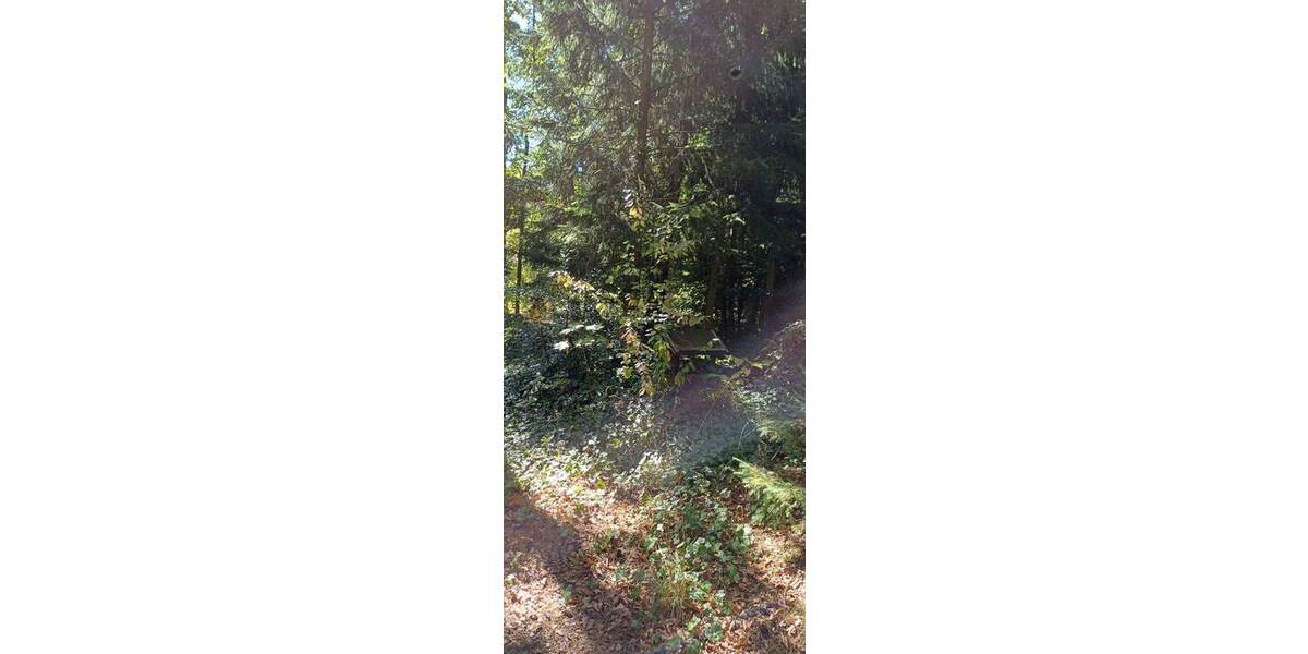 Grundstück Zeulenroda-Triebes Triebes - 39.500&euro; | Angebot:26742062