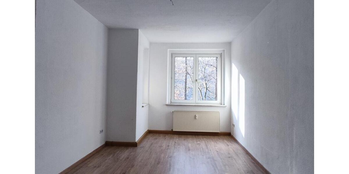 Etagenwohnung Plauen - 2 Zimmer, 61 m&sup2;, 300&euro; | Angebot:24646296