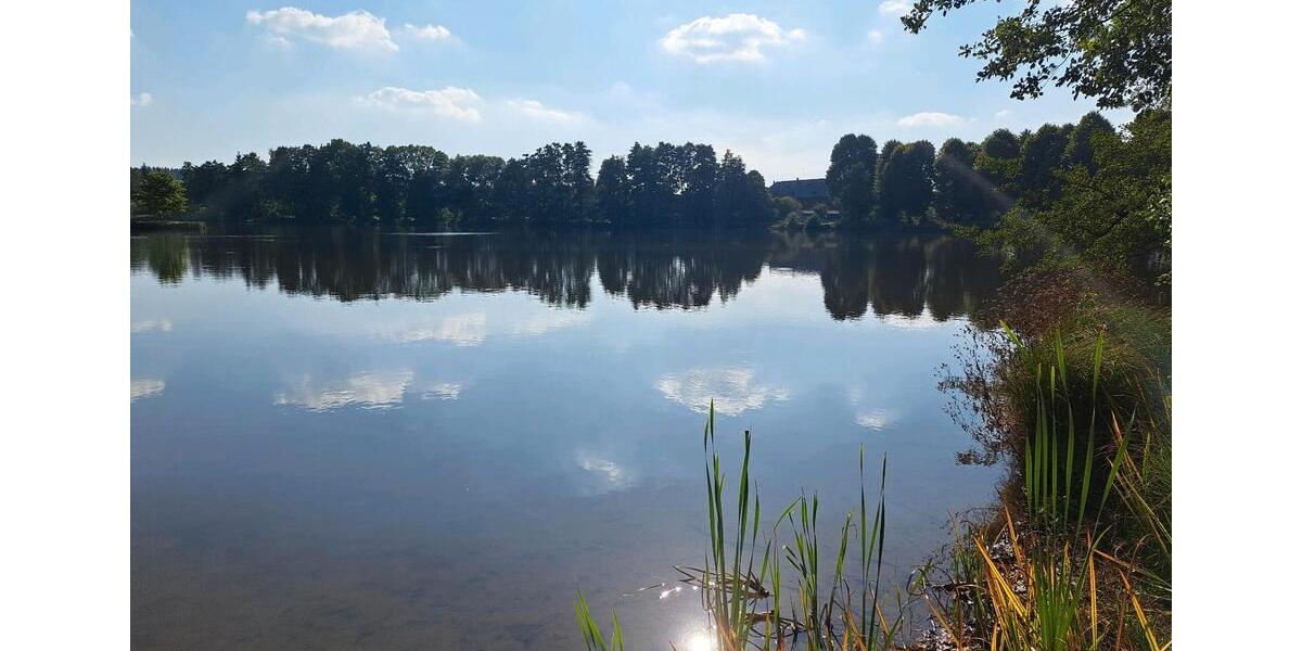 Mehrfamilienhaus, Wohnhaus Zeulenroda-Triebes Triebes - 10 Zimmer, 340 m&sup2;, 117.000&euro; | Angebot:26040853