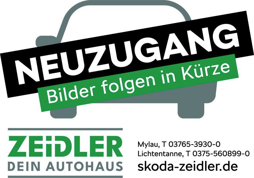 Skoda Octavia 36.300 km 30.950 &euro; Mylau 08499